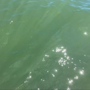 Meet your Posher, Sabine